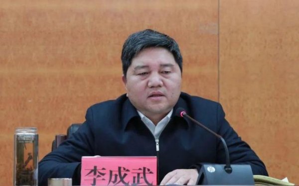 闻道资本 正厅级李成武任上主动投案 涉嫌严重违纪违法