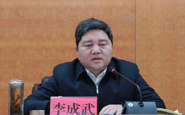 正厅级李成武任上主动投案