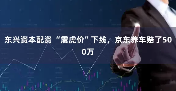 东兴资本配资 “震虎价”下线，京东养车赔了500万