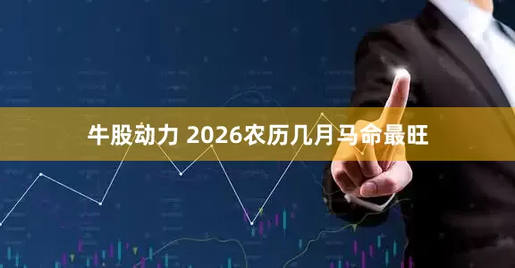 牛股动力 2026农历几月马命最旺